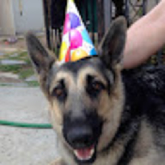 Meet your Posher, Susan - Picture 1 of 1